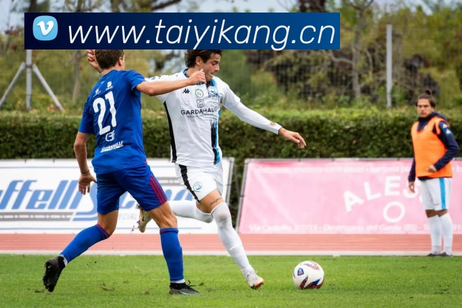 开云(中国)Kaiyun·官方网站 - 登录入口发展历程