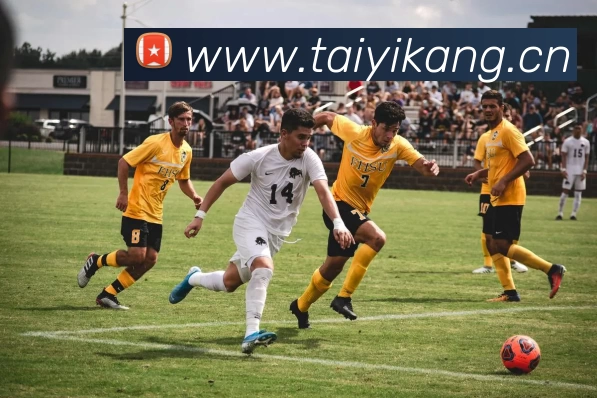 德甲 勒沃库森：能否在本赛季创造奇迹？